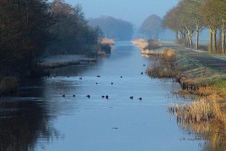 Thijssengracht Giethoorn