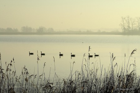 Zuideindigerwijde, Giethoorn.