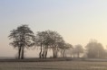 /album/kop-van-overijssel/a201794a-jpg/