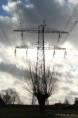 /album/hoogspanningsmasten/img-7160-jpg/