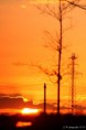 /album/hoogspanningsmasten/img-7456a-jpg/